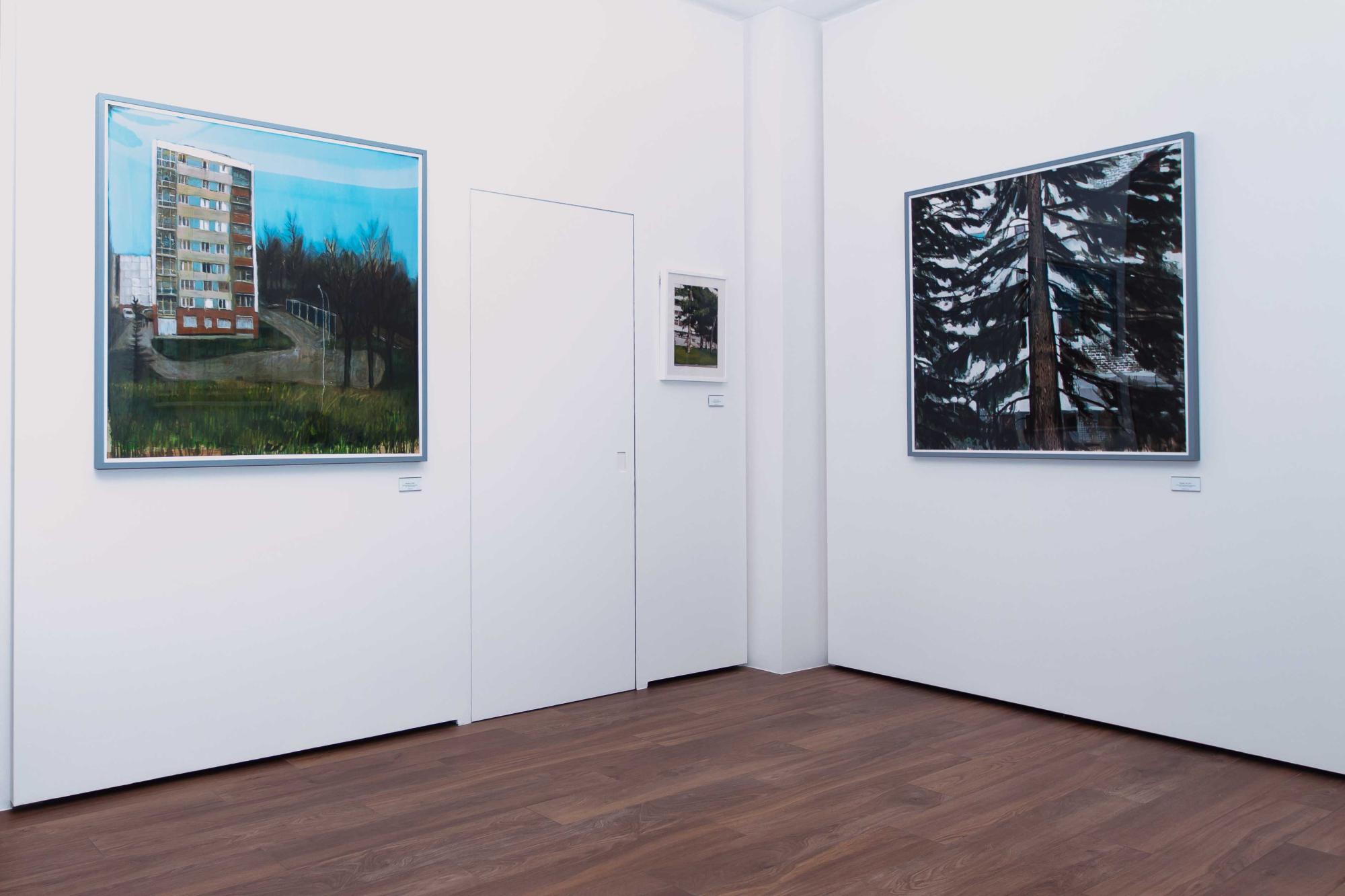 Jeremy Liron, mélancolie des paysages