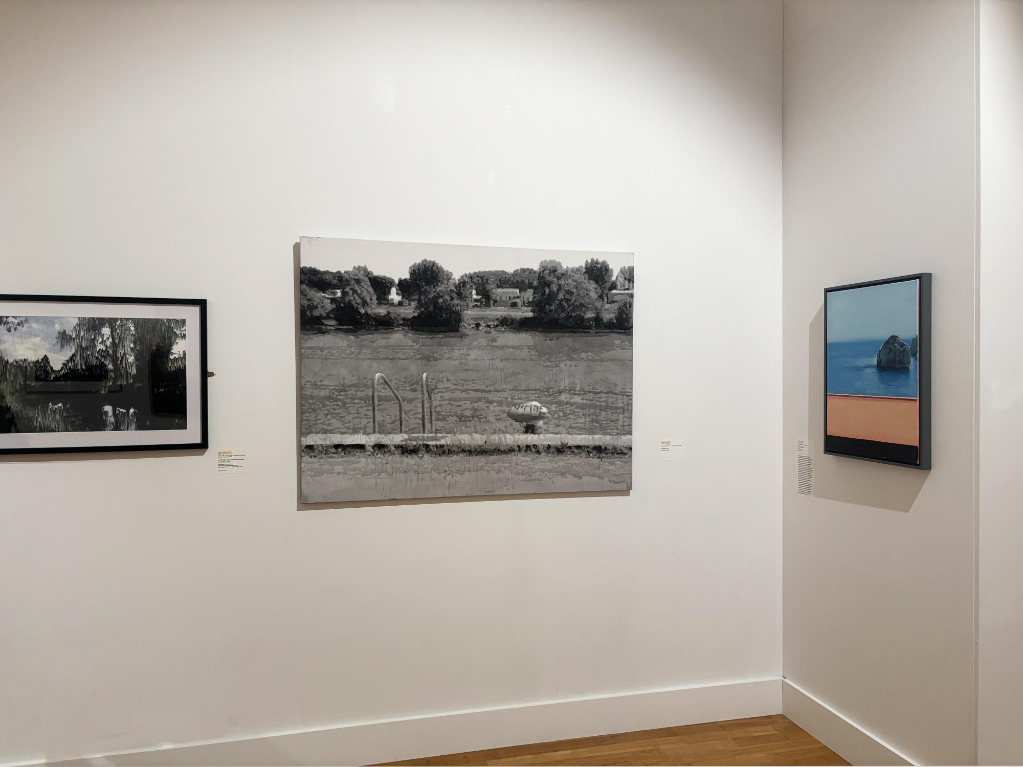 Regarder, révéler. Dialogues entre peinture et photographie