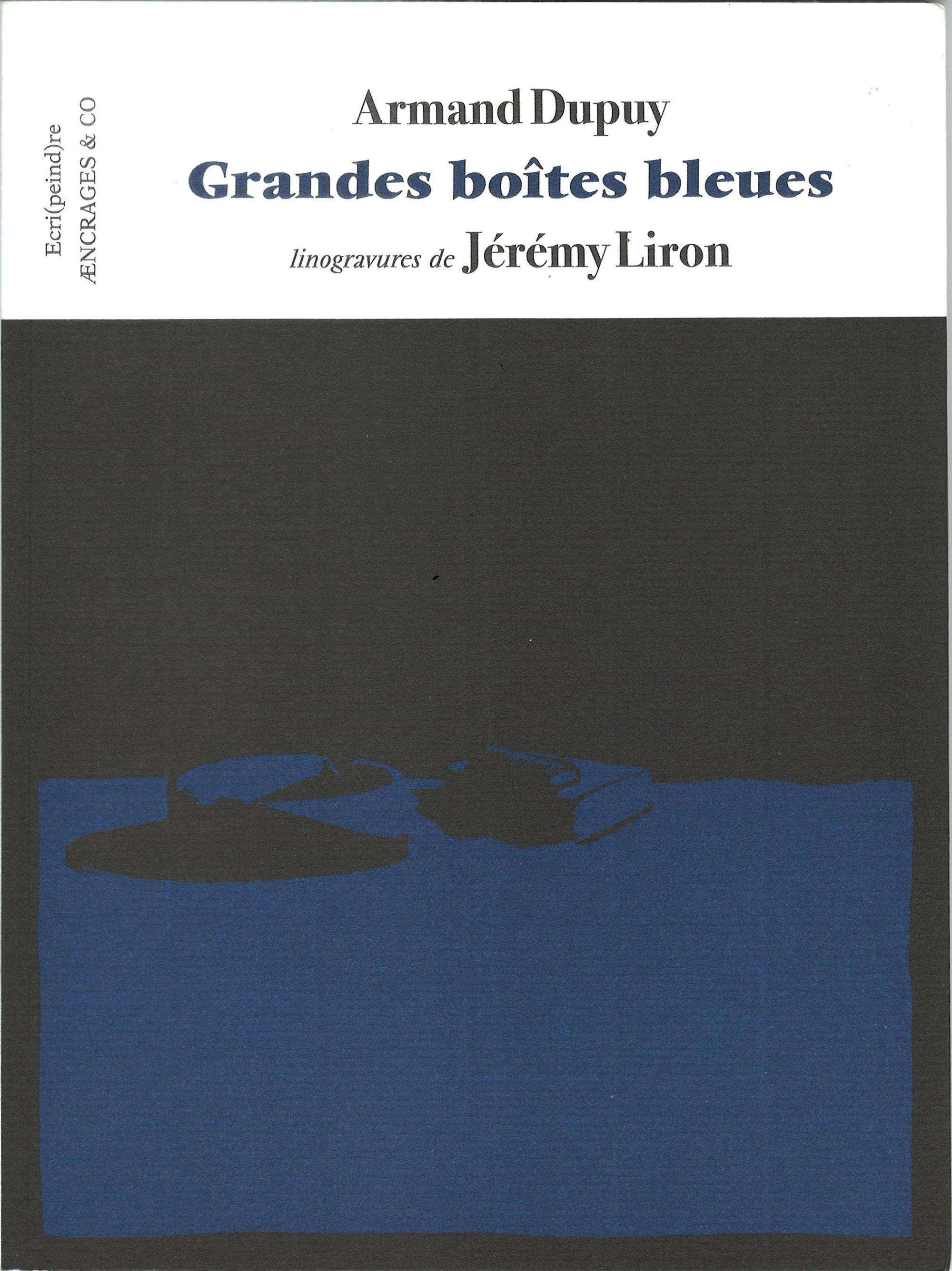 Grandes boîtes bleues